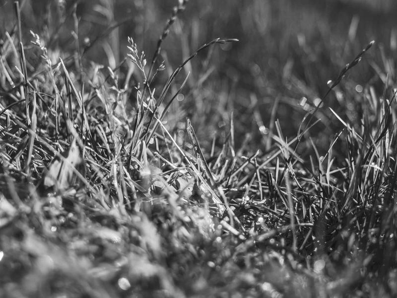 sudoku world championship screenshot 5